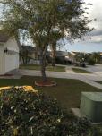 Affordable Orlando Villa Rentals image 6